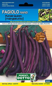 Fagiolo Purple Queen Nano