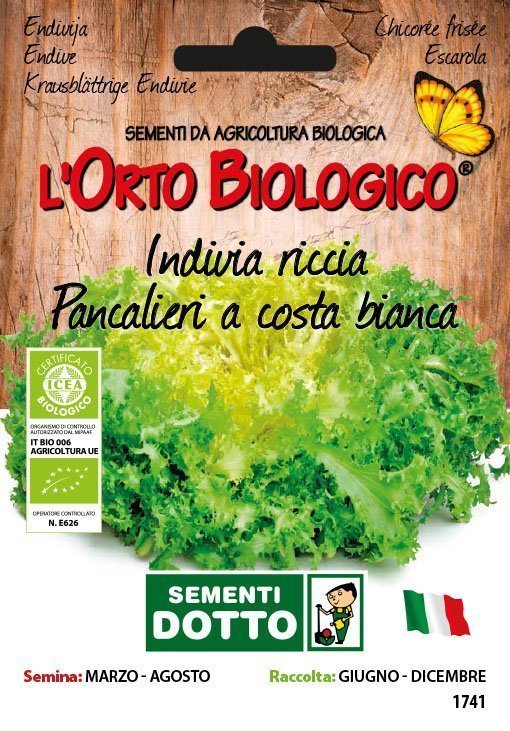 Indivia Riccia Pancalieri a Costa Bianca - Giardango