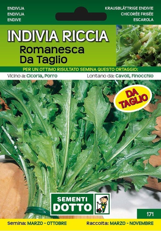 Indivia Riccia Romanesca da Taglio - Giardango