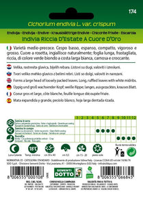 Indivia Riccia d'Estate a Cuore d'Oro