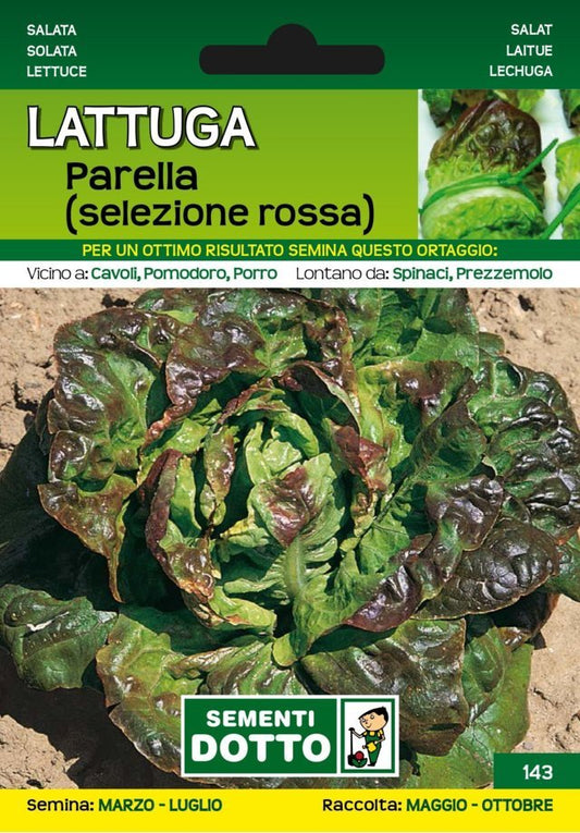 Lattuga Parella Selezione Rossa - Giardango