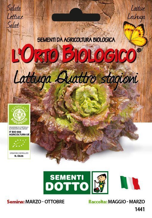 Lattuga Quattro Stagioni Bio - Giardango