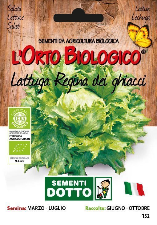 Lattuga Regina dei Ghiacci - Giardango
