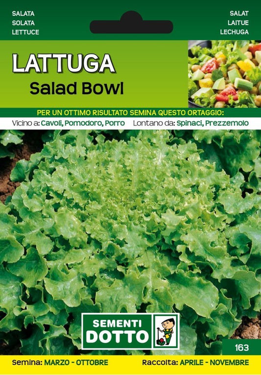 Lattuga Salad Bowl