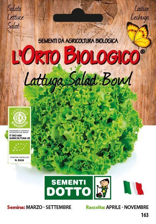 Lattuga Salad Bowl - Giardango
