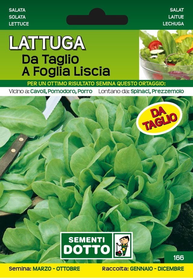 Lattuga da Taglio a Foglia Liscia - Giardango