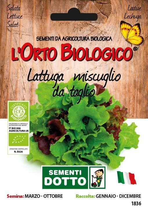 Lattuga in Miscuglio