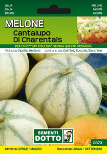 Melone Cantalupo di Charentais