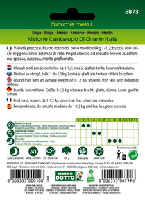 Melone Cantalupo di Charentais