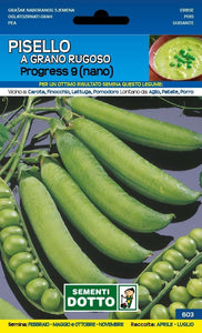 Pisello Progress 9 Nano