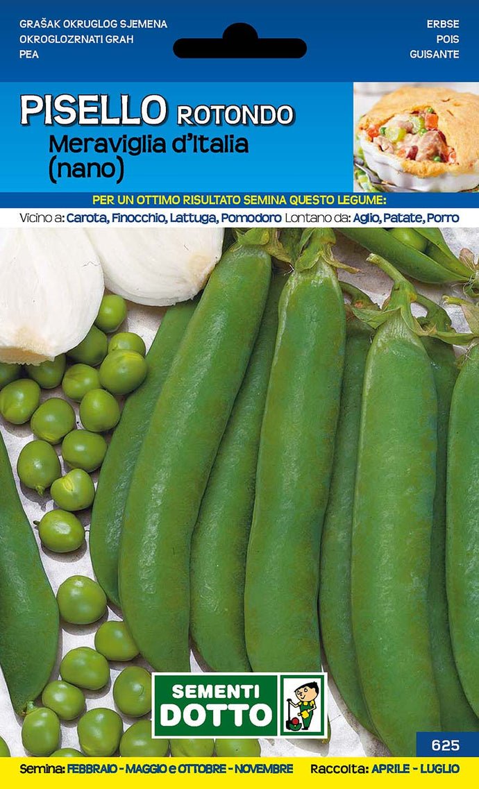 Pisello Meraviglia d'Italia Nano