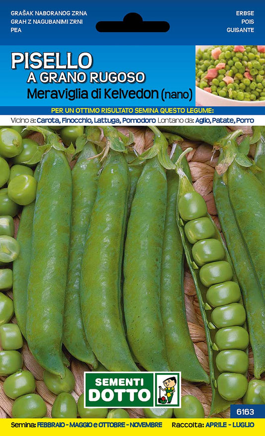 Pisello Meraviglia di Kelvedon Nano