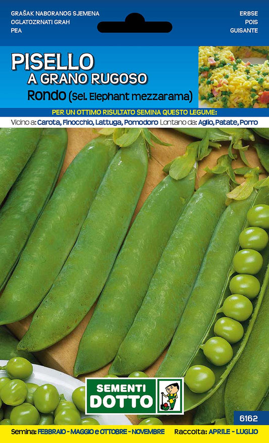 Pisello Rondo Mezzarama