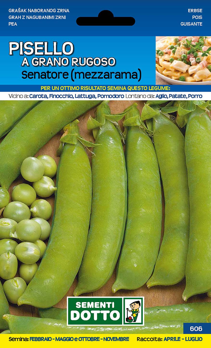 Pisello Senatore Mezzarama