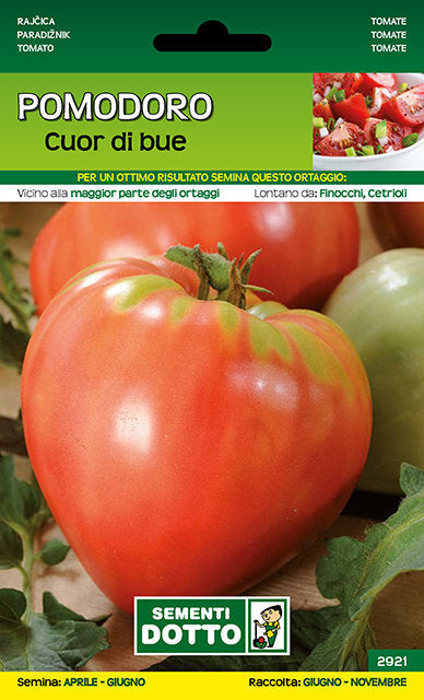 Pomodoro Cuor di Bue