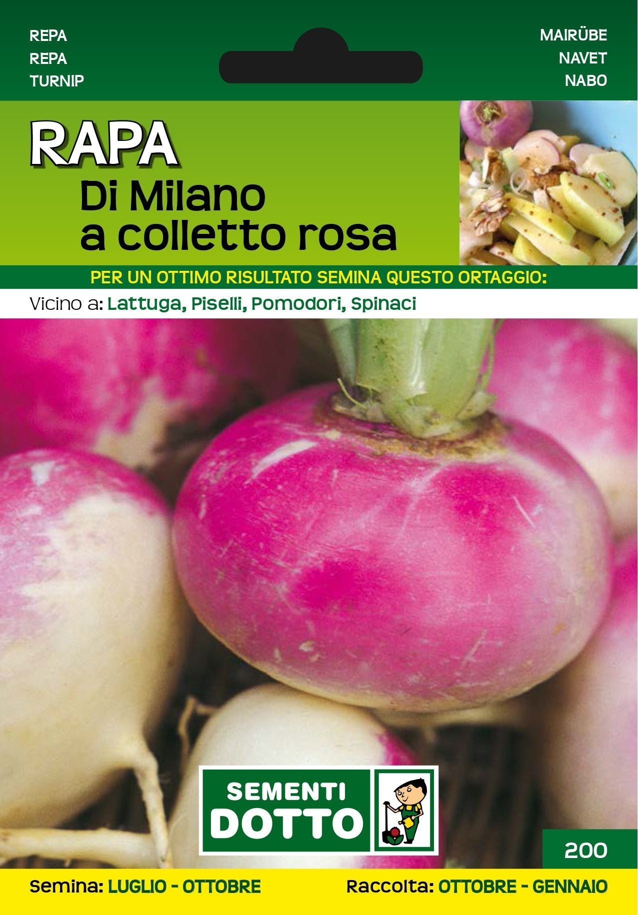 Rapa di Milano a Colletto Rosa