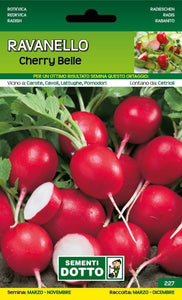 Ravanello Cherry Belle