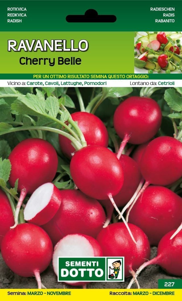 Ravanello Cherry Belle