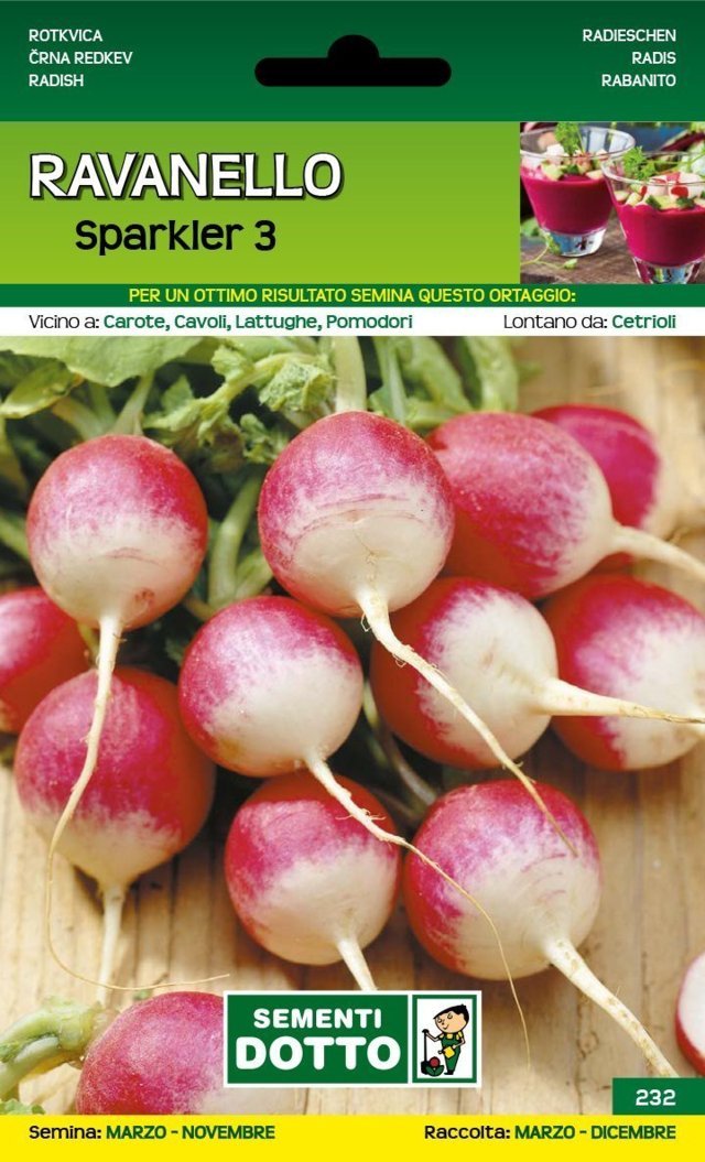 Ravanello Sparkler 3