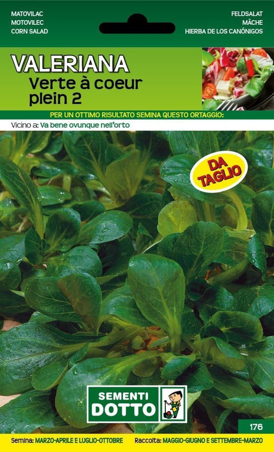 Valeriana Verte à Coeur Plein 2