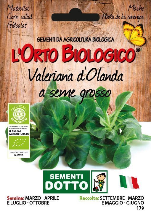 Valeriana d'olanda Seme Grosso - Giardango