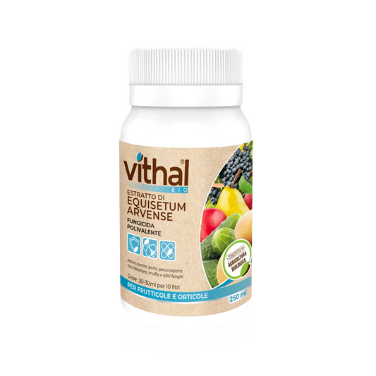 Vithal Fungicida Equisetum 250ml - Giardango