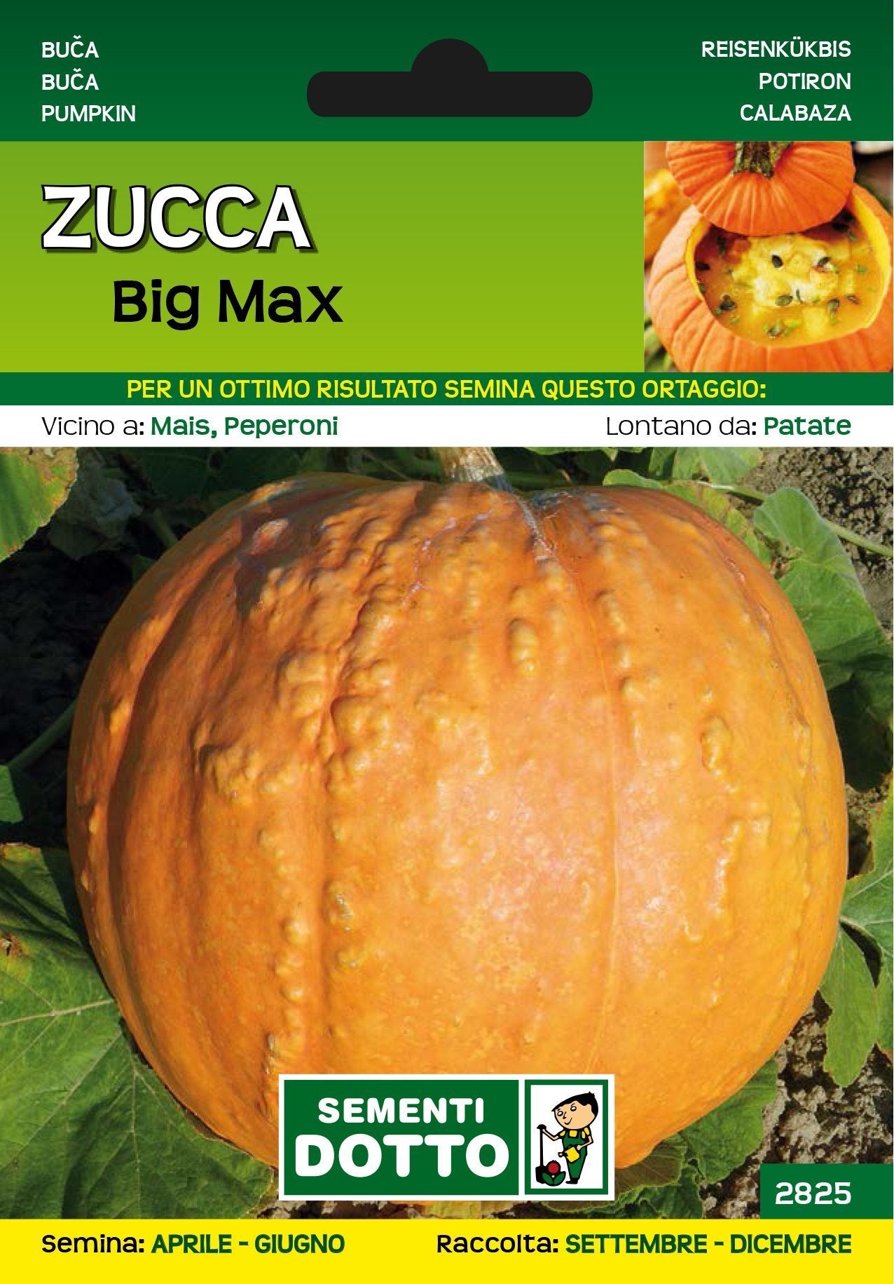 Zucca Big Max