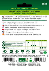 Zucca Quintale Seme Giallo