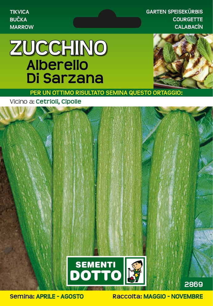 Zucchino Alberello di Sarzana