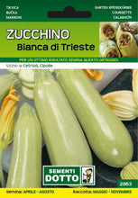 Carica l&#39;immagine nel visualizzatore di Gallery, Zucchino Bianca di Trieste
