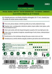 Zucchino Bianca di Trieste