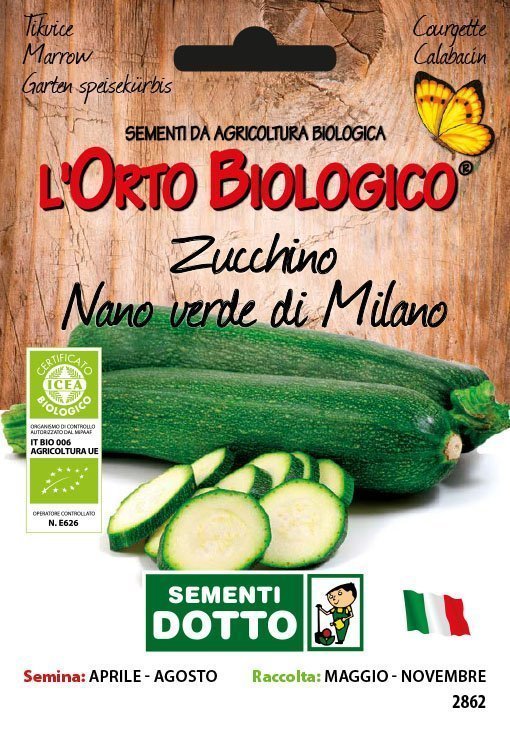 Zucchino Nano Verde Milano