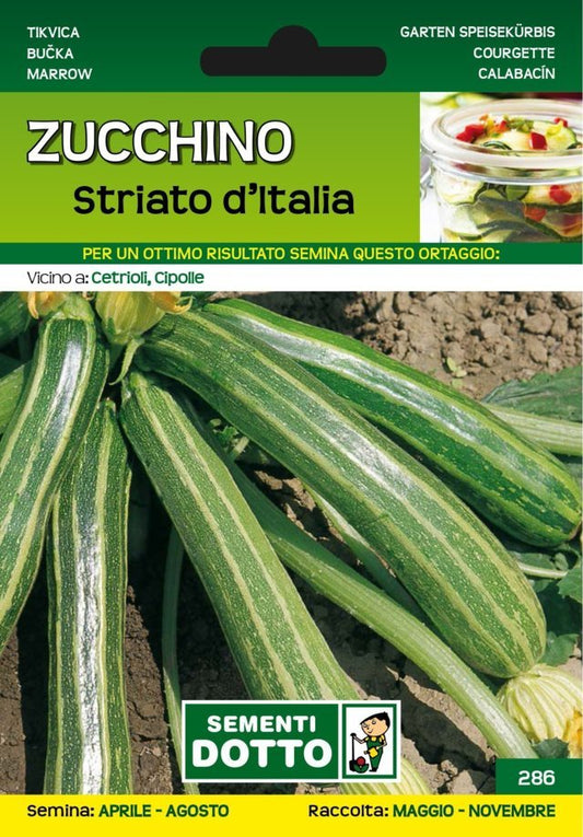 Zucchino Striato d'Italia