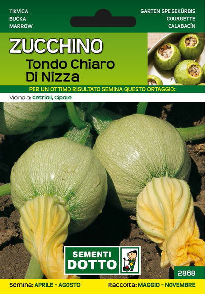 Zucchino Tondo Chiaro di Nizza