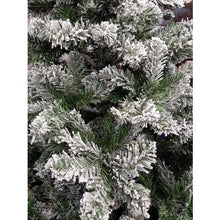 Carica l&#39;immagine nel visualizzatore di Gallery, Abete Snowy Imperial Pine
