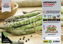 Carica l&#39;immagine nel visualizzatore di Gallery, Asparago Verde Vittorio
