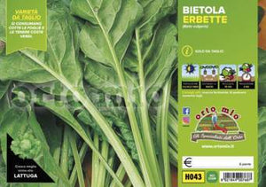 Bietola Erbetta Verde da Taglio