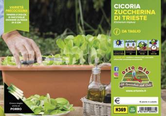 Cicoria da Taglio Zuccherina di Trieste