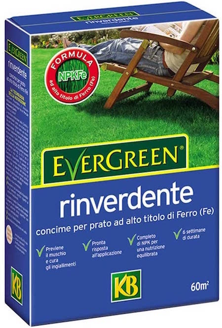 Concime Rinverdente Evergreen 2 Kg