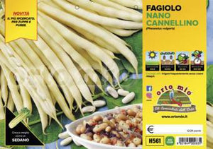 Fagiolo Nano Cannellino da sgranare
