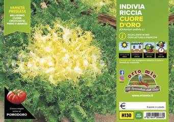 Indivia Riccia Cuore d'oro Cigal