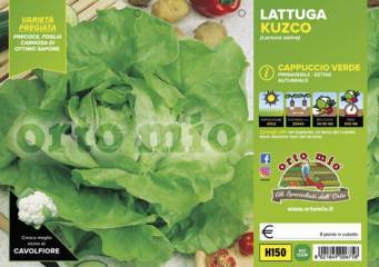 Lattuga Cappuccio Verde Kuzco Vaschetta 9 Piantine