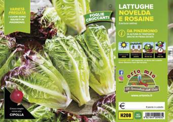 Lattuga da Pinzimonio Vaschetta 9 Piantine