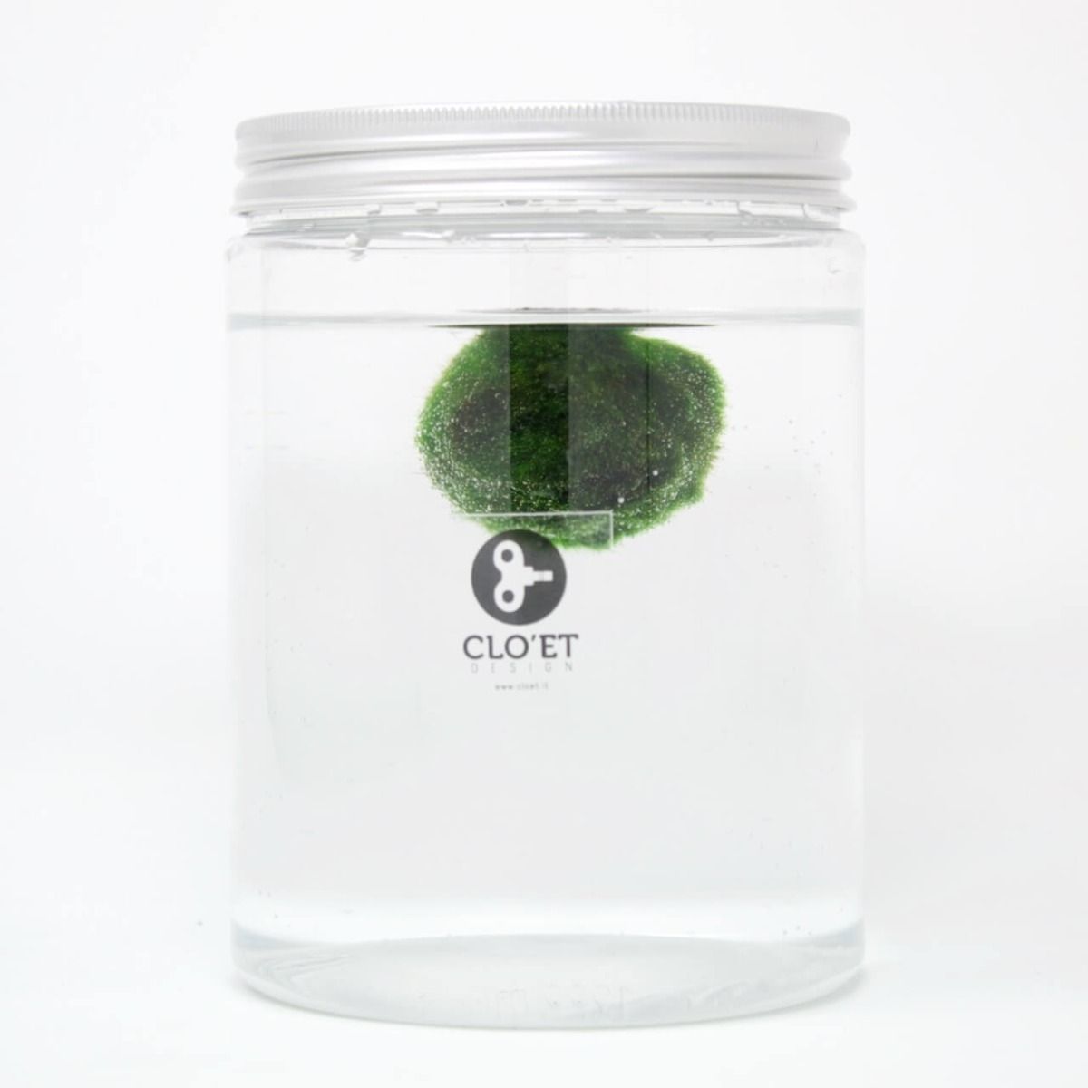 Marimo 30 Anni di Clo'eT design