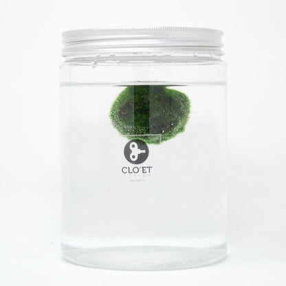 Marimo 30 Anni di Clo'eT design