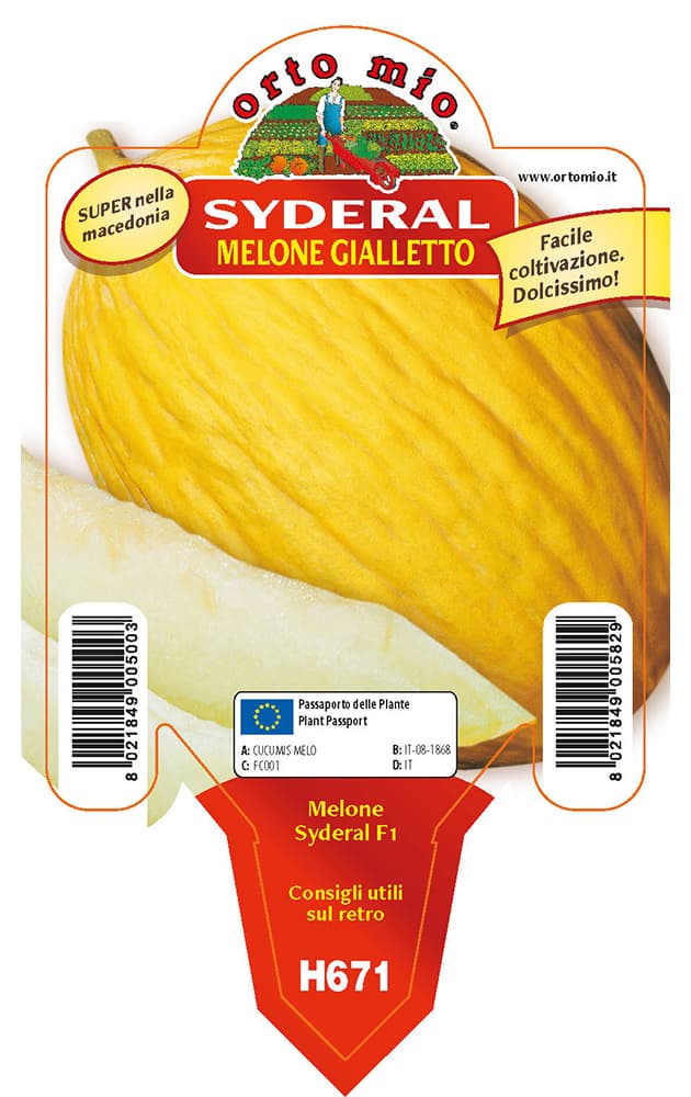 Melone Gialletto Polis (ex Syderal) Vaso 10 Cm