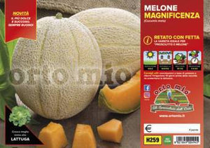 Melone Retato con fetta