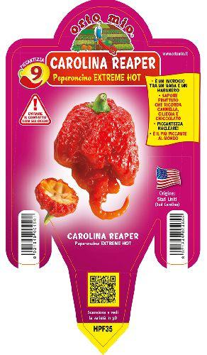 Peperoncino Carolina Reaper