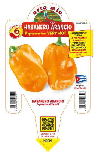 Peperoncino Habanero arancio