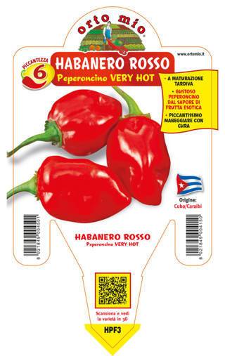 Peperoncino Habanero rosso